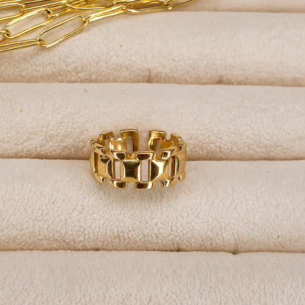 [Ani021] Anillo coraje